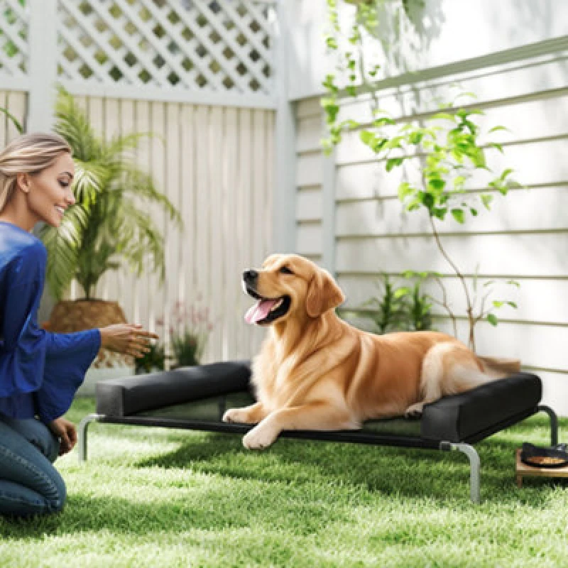 Image of PawHut Elevated Dog Bed, Raised Dog Bed with Removable Bolsters, Black D04-297V02BK