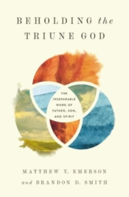 Image of Beholding the Triune God : The Inseparable Work of Father, Son, and Spirit Paperback / softback