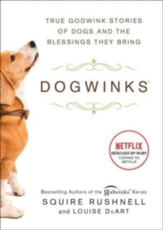 Image of Dogwinks : True Godwink Stories of Dogs and the Blessings They Bring Volume 6 Paperback / softback