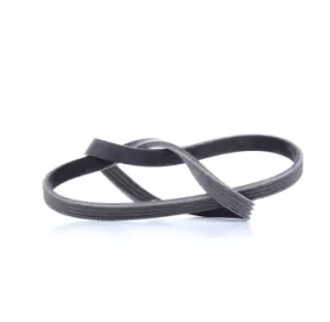 Image of CONTITECH V-ribbed belt FIAT,IVECO 4PK903 ELAST 504066407,5802102136,504066407