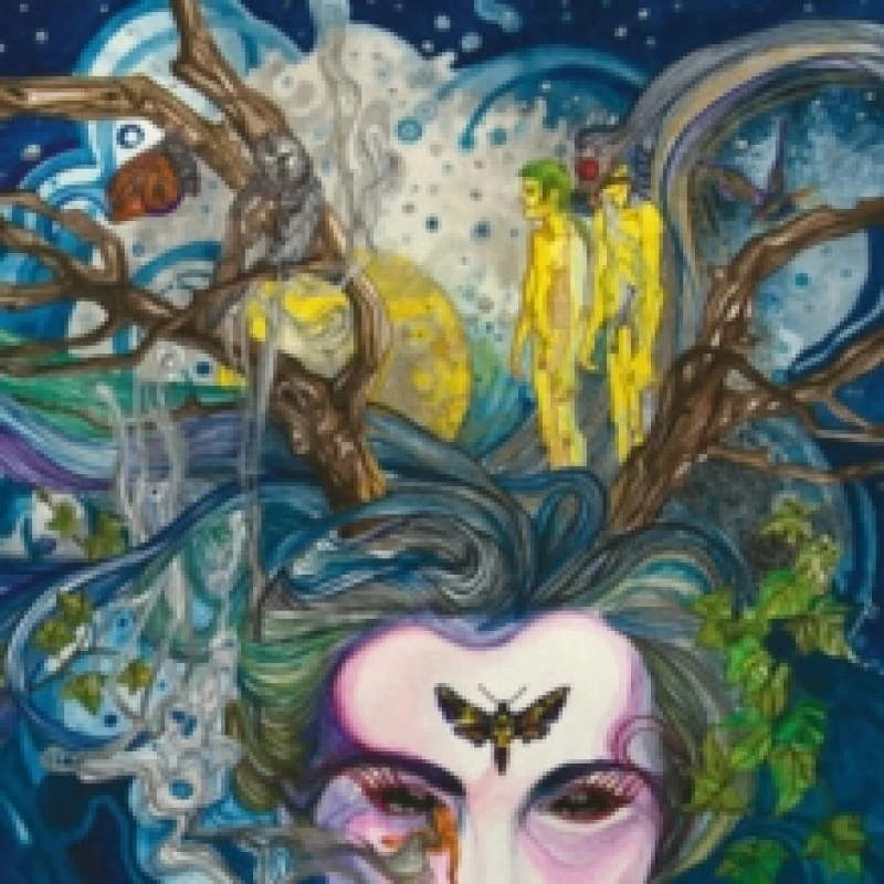 Image of Pictures in a Dream Vinyl