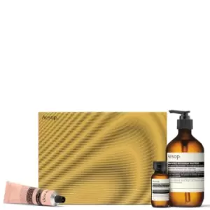 Image of Aesop Tuneful Textures Hand Care Trio