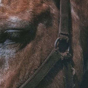 Image of Darto - Fundamental Slime Vinyl