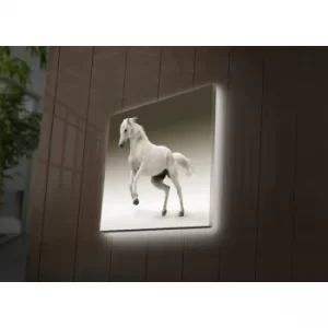 Image of 4040DACT-41 Multicolor Decorative LED Lighted Canvas Painting