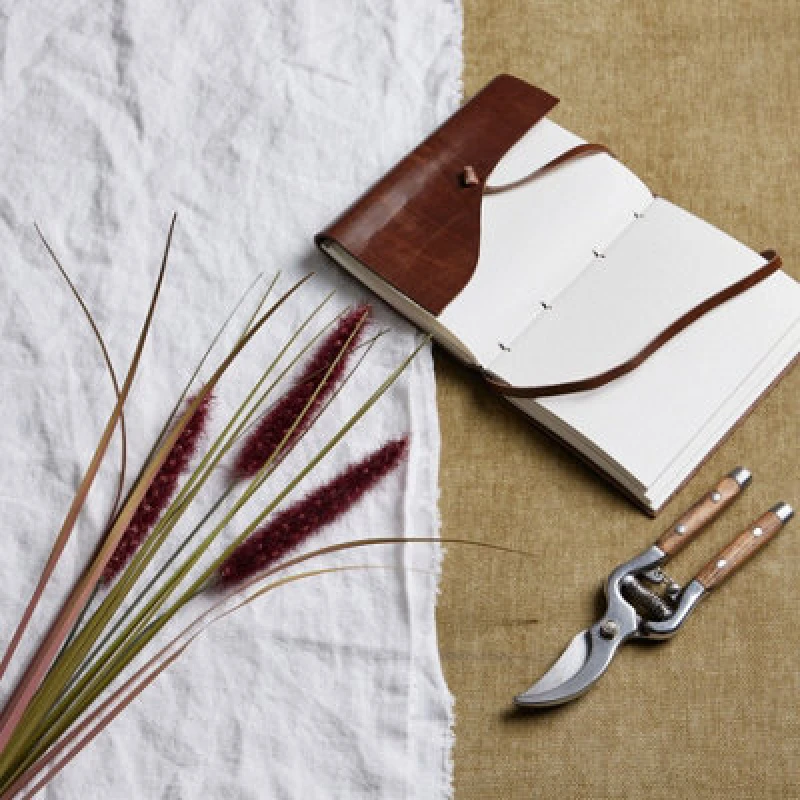 Image of Ruby Triple Grass Stem