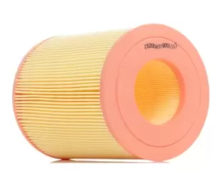 Image of RIDEX Air filter Filter Insert 8A0094 Engine air filter,Engine filter MERCEDES-BENZ,A-Klasse (W168),VANEO (414)