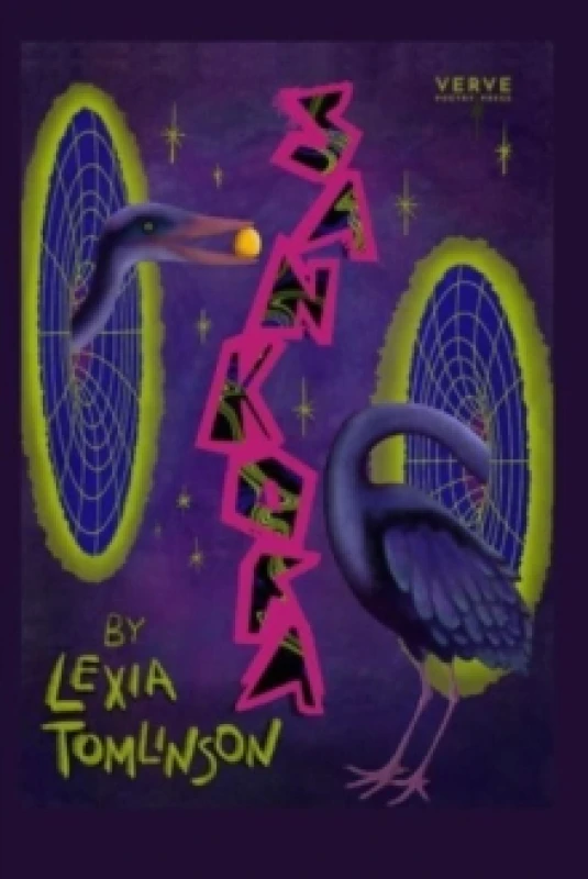 Image of SANKOFA Paperback / softback