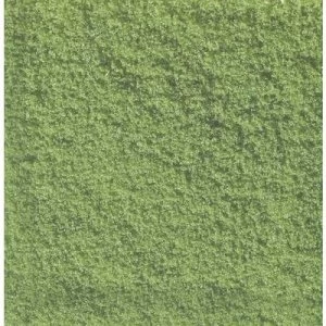 Image of NOCH 07202 Flockage Light green