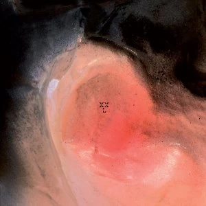 Image of XXL - Puff O'Gigio Vinyl