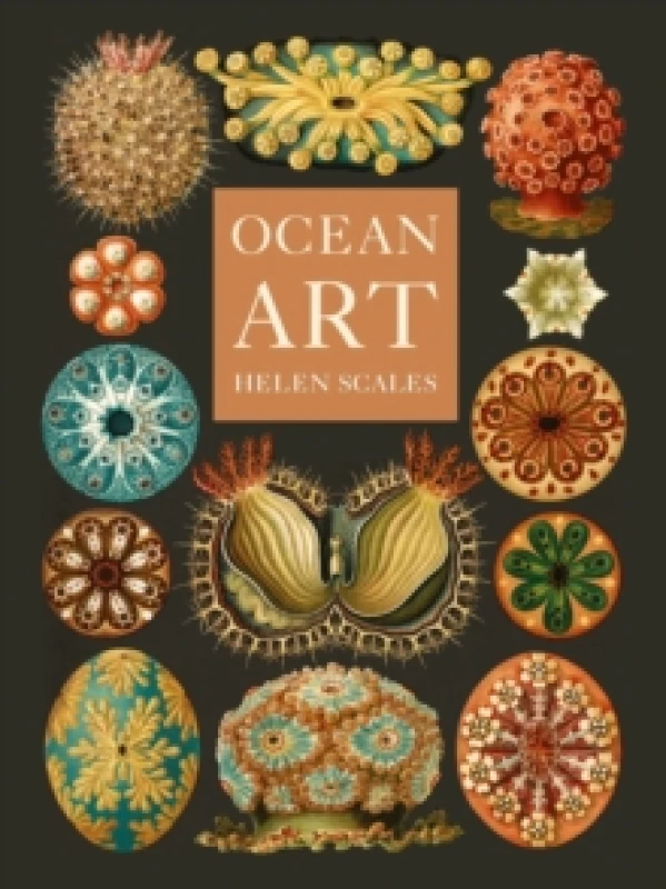 Image of Ocean Art : From the Shore to the Deep Hardback