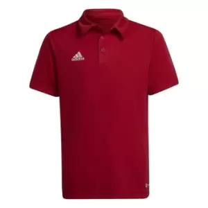 Image of adidas ENT22 Polo Shirt Juniors - Red