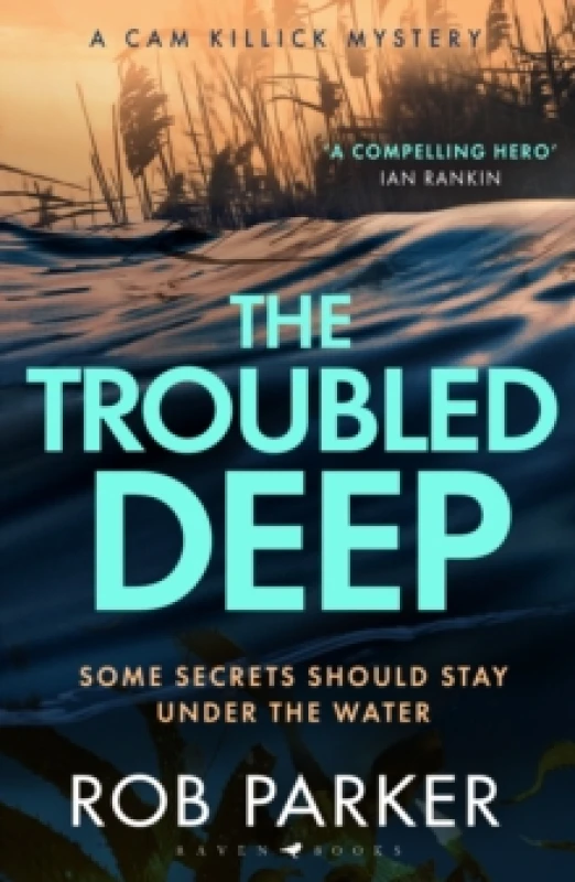 Image of The Troubled Deep : 'The most brilliant Norfolk-set thriller since Elly Griffiths' Ruth Galloway books' Daily Mirror Paperback / softback