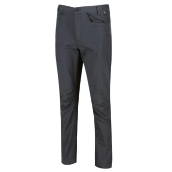 Image of Regatta Delgado Walking Trousers ( Regular Leg) - Grey