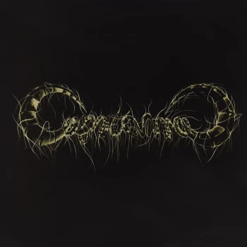 Image of Capricorns - Capricorns Vinyl