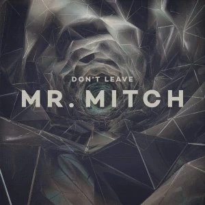 Image of Mr. Mitch - Don't Leave Vinyl