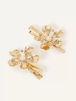 Image of Accessorize 2 X Flower Snap Clips