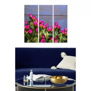 Image of MDF332641235 Multicolor Decorative MDF Painting (3 Pieces)