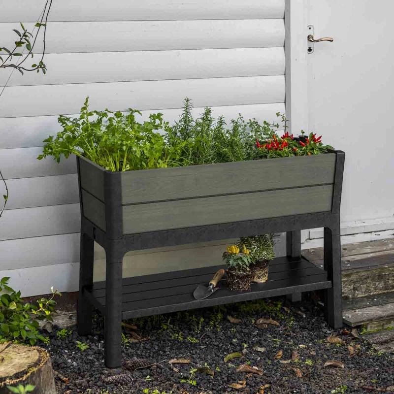 Image of Keter Darwin Elevated Garden Bed - Green