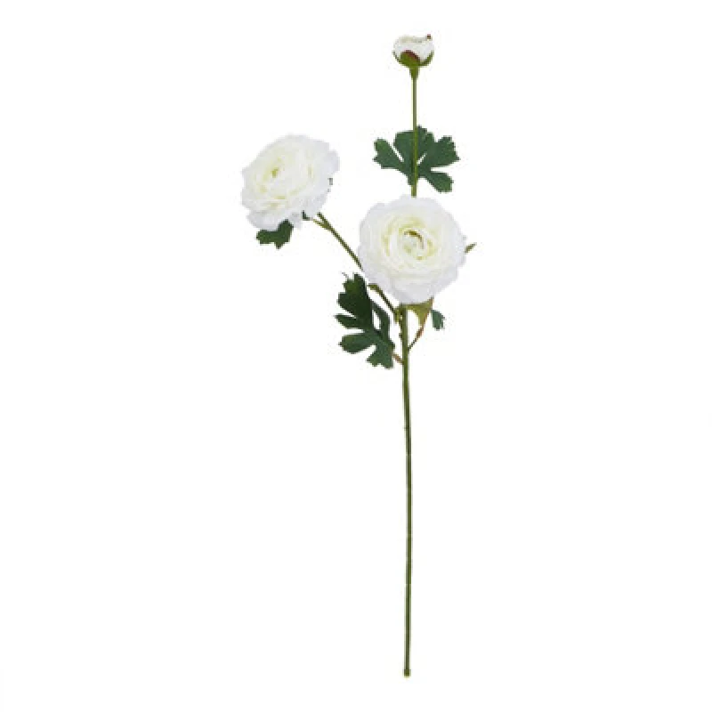 Image of The Natural Garden Collection White Ranunculus