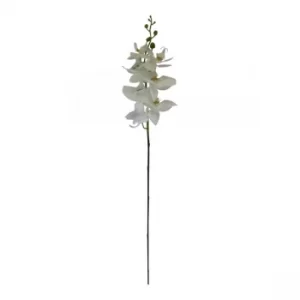 Image of Single Orchid Spray, White Flowers, 85cm