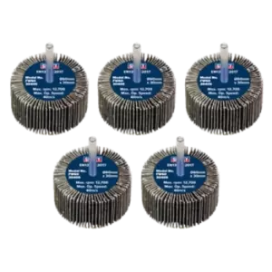 Image of Sealey Flap Wheel 60 x 30mm 40Grit 6mm Shaft - Pack of 5 - FW6030405