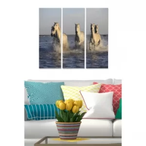 Image of MDF1401707 Multicolor Decorative MDF Painting (3 Pieces)