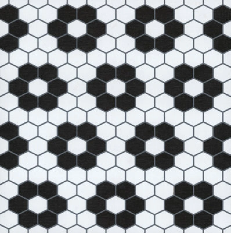 Image of Floor Pops Floorpops Biscotto Peel & Stick Floor Tiles Black/White WNXZT Unisex