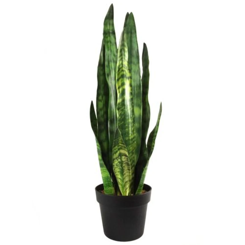 Image of Artificial Plant Tropical Snake Plant Zeylanica Sansevieria 70Cm Sansevieria Botanik, Green BK-7536