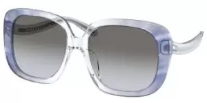 Image of Coach Sunglasses HC8323U 56553C