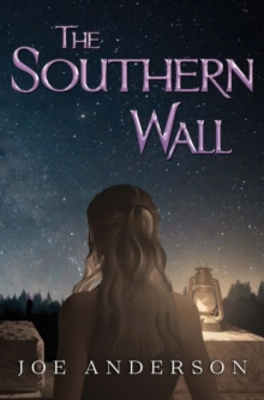 Image of The Southern Wall Paperback / softback