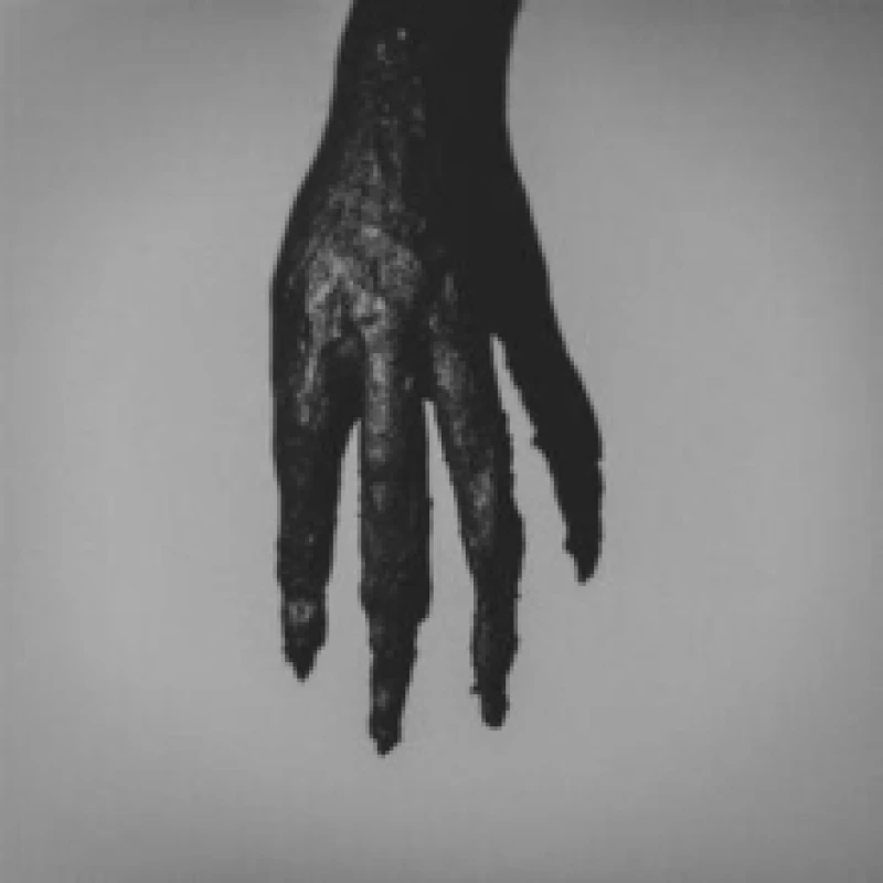 Image of IIII CD / Album