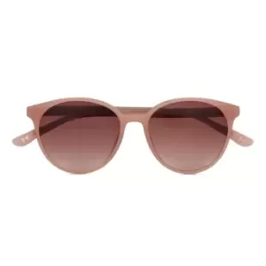 Image of Ted Baker 1604 Sunglasses - Pink