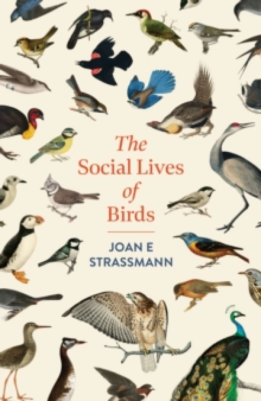 Image of The Social Lives of Birds. Hardback. By Joan Strassmann Books