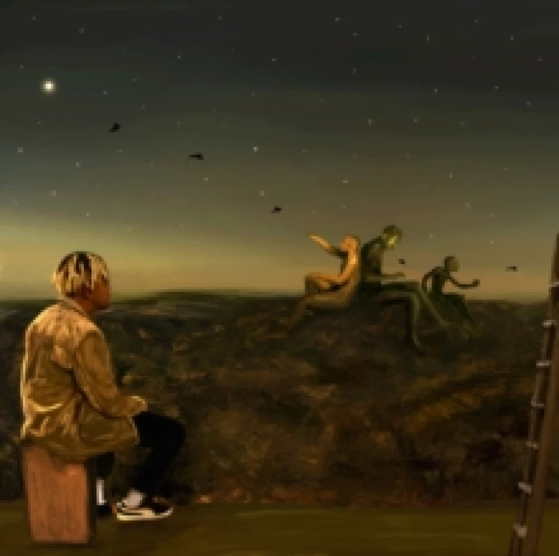 Image of From a Birds Eye View Vinyl