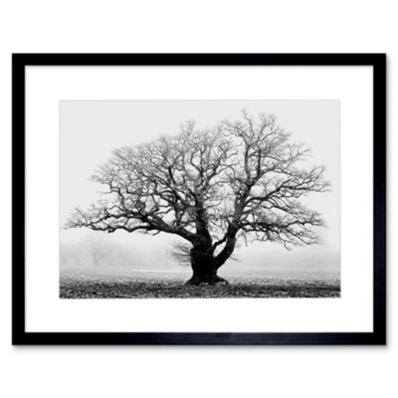 Image of Artery8 Old Oak Tree Black White Mist Fog Photo 12X16" Framed Wall Art Print