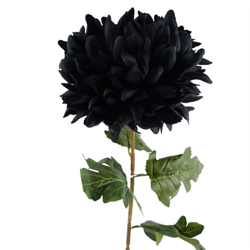 Image of Leaf 75cm Extra Large Reflex Chrysanthemum - Black