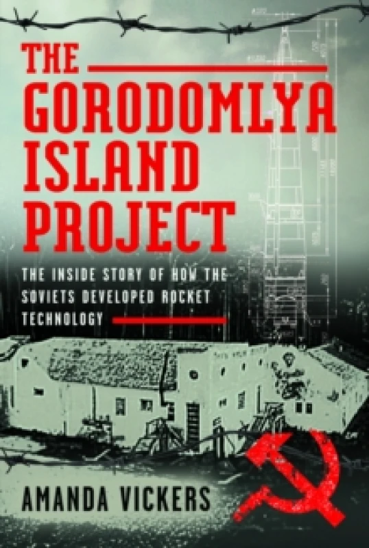 Image of The Gorodomlya Island Project. Hardback. By Amanda Vickers Books