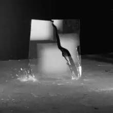 Image of The Beauty of Disaster