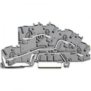 Image of Industrial terminal block 5.20 mm Pull spring Configuration N L Terre