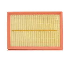 Image of FILTRON Air filter FORD AP 074/9 2207430 Engine air filter,Engine filter