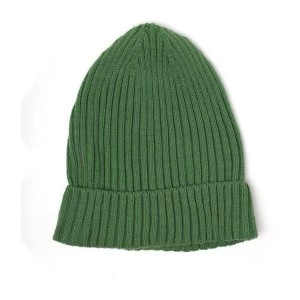 Image of Disney - Peter Pan Feather Unisex X-Large Beanie - Green