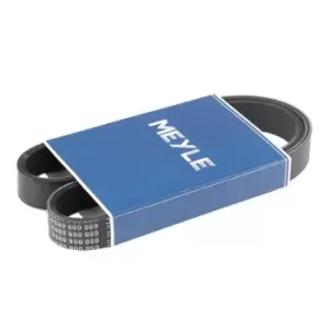 Image of MEYLE V-ribbed belt VW,OPEL,RENAULT 050 006 0894 11287518249,7518249,71749449 95VW6C301FA,11281505672,11287518249,11287526363,11287604014,1505672