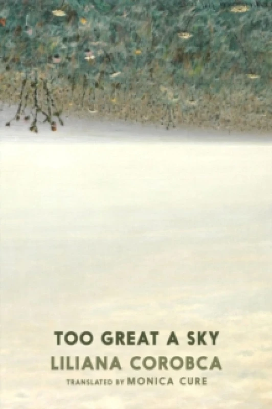 Image of Too Great A Sky Paperback / softback