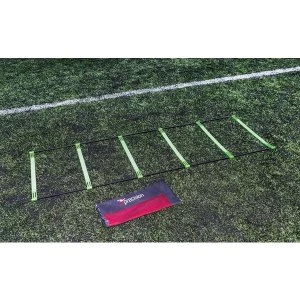 Image of Precision Pinnacle Ladder