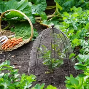 Image of Outdoor Wired Plant Protector Bronze