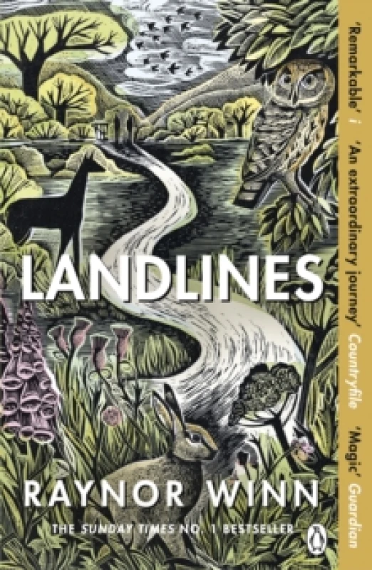 Image of Landlines Paperback / softback