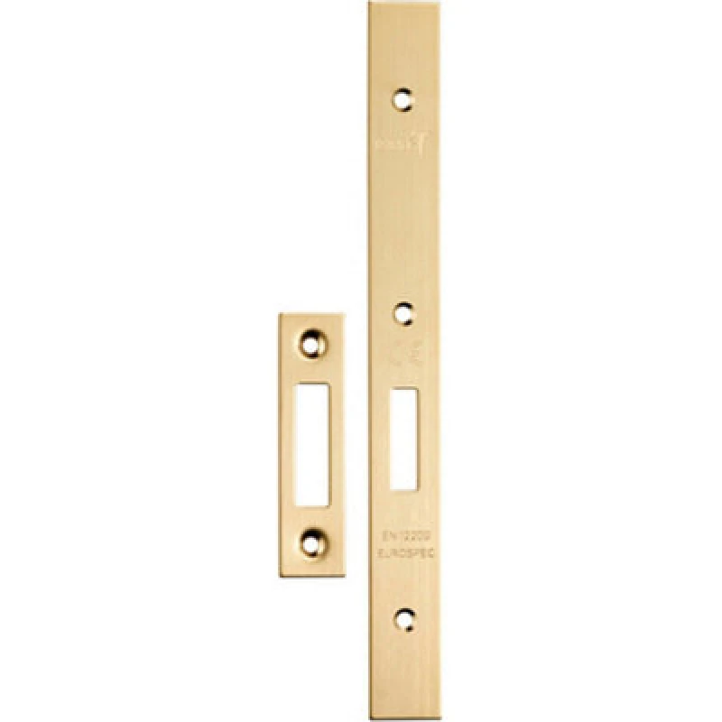 Image of Loops Forend Strike & Fixing Pack Suitable for DIN Euro Deadlock Satin Brass Metallics unisex