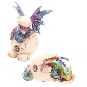 Image of Cute Hatching Baby Dragon Figurine (1 Random Supplied)