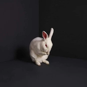 Image of Brume - Rabbits Vinyl