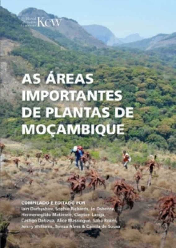 Image of As Areas Importantes de Plantas de Mocambique Paperback / softback